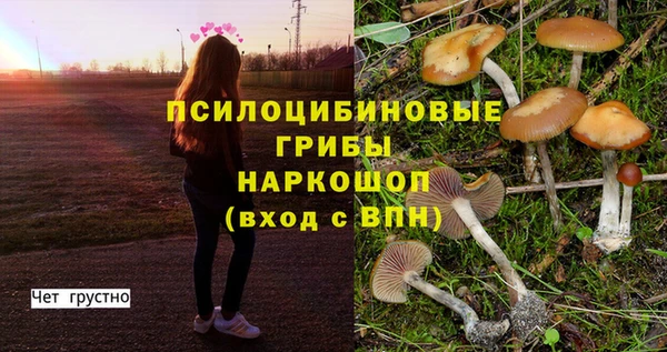 прущая мука Володарск