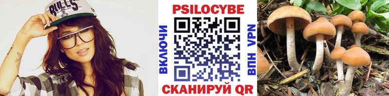 Галлюциногенные грибы Psilocybine cubensis сколько стоит Салават